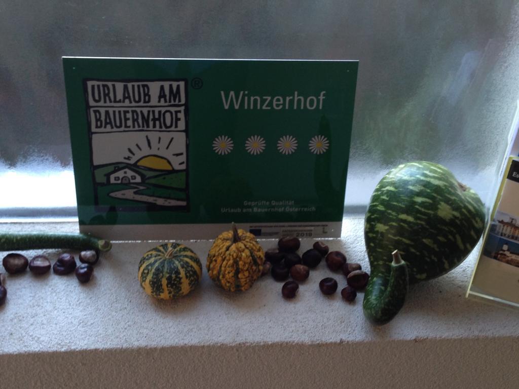 Homestay Winzerhof Klua Hoada Illmitz